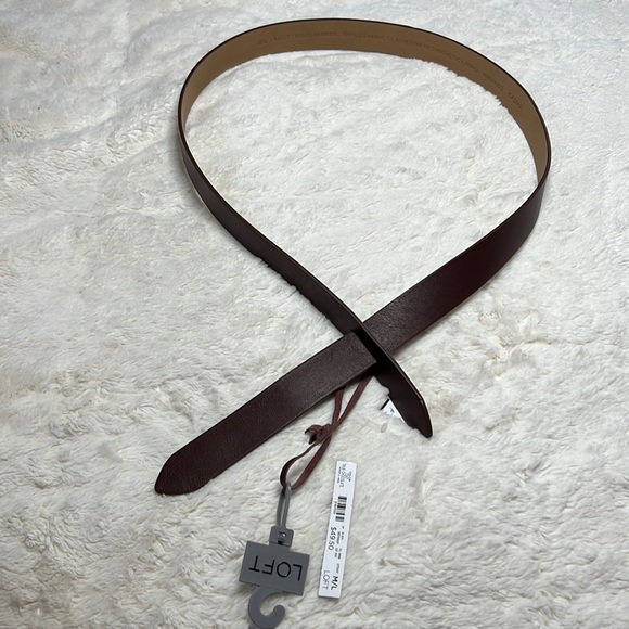 Loft Size M/L NWT Chocolate Belt - Picture 1 of 3